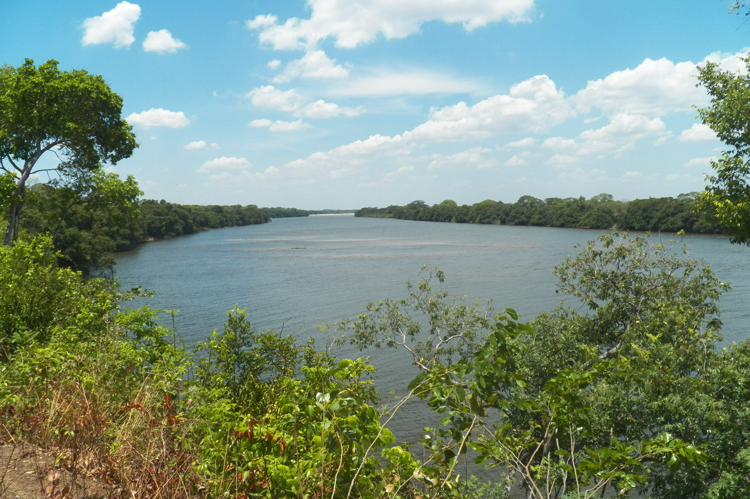 Observatorio Territorial de Arauca - Cámara de Comercio de Arauca