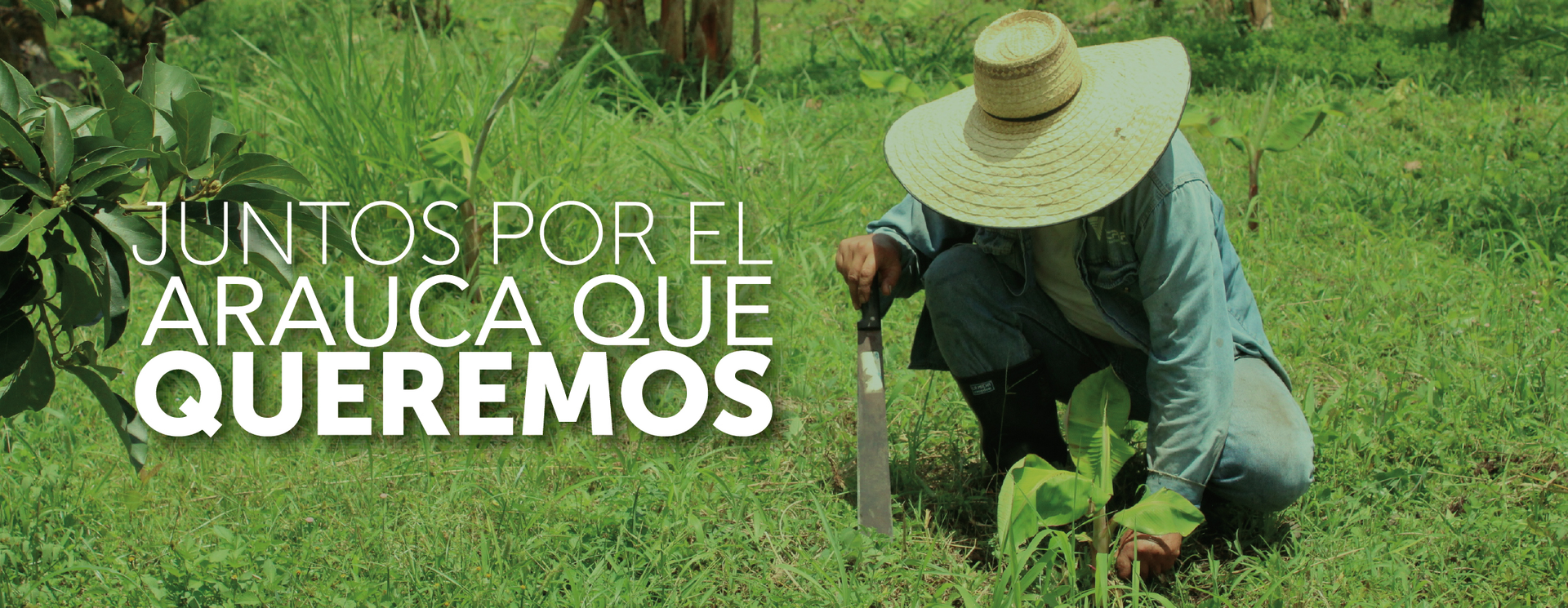 Observatorio Territorial de Arauca - Cámara de Comercio de Arauca